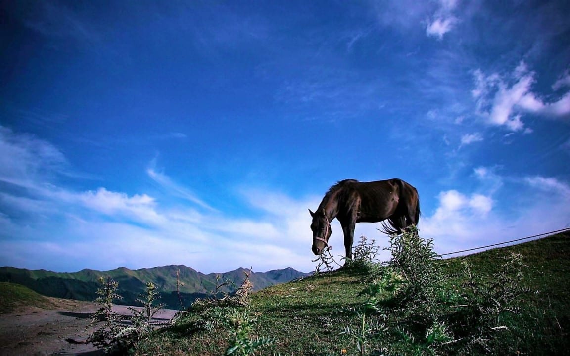 Riding in Tusheti 5 days