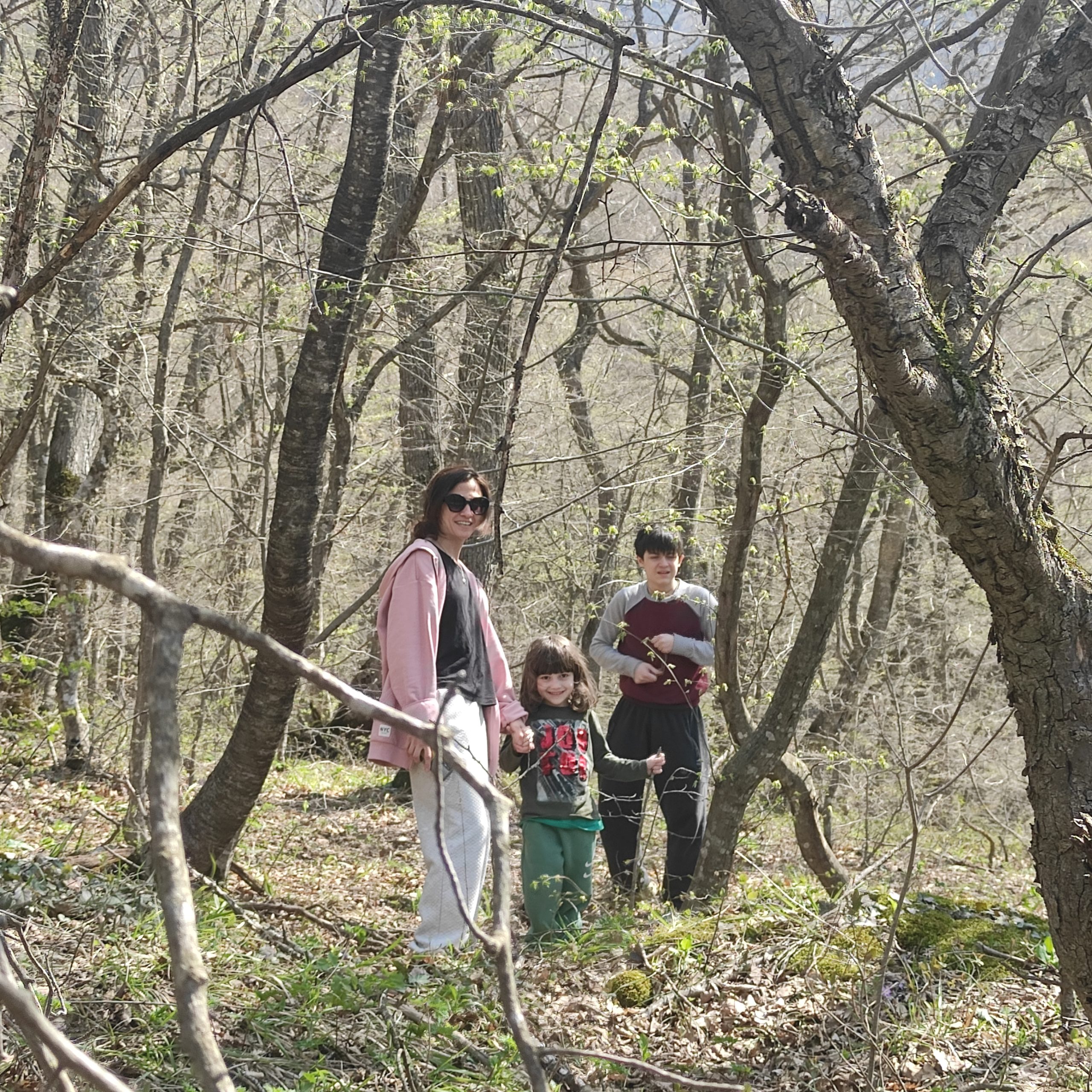 Forest around the monastery