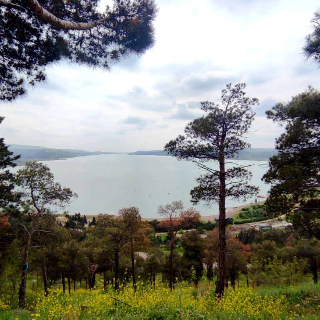 View on Tbilisi Sea