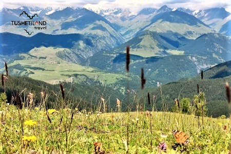 View from Oreti Lake